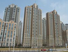 大連華潤海中國-上海鑫魚鑫魚背栓