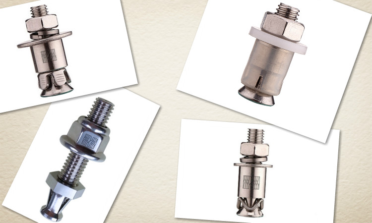 316材質(zhì)背栓