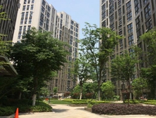 萬錦城使用鑫魚背栓